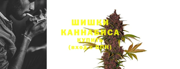 ECSTASY Кодинск