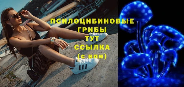 ECSTASY Кодинск