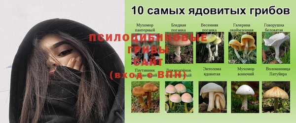 jwh Козловка